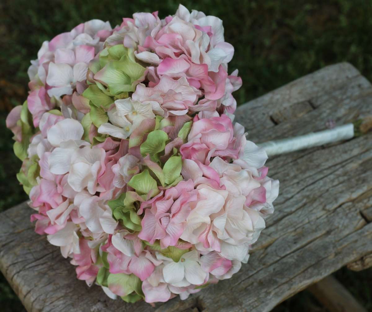 Ortensie rosa