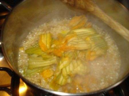 preparazione risotto ai fiori di zucca