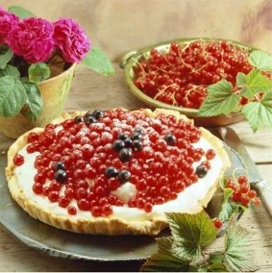 Crostata ai ribes