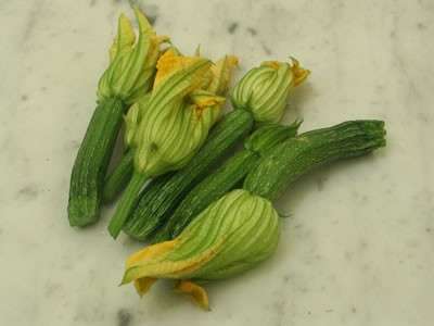 Zucchine e fiori