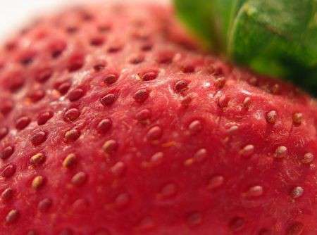 Fragole