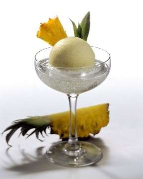 Sorbetto allo champagne ricetta