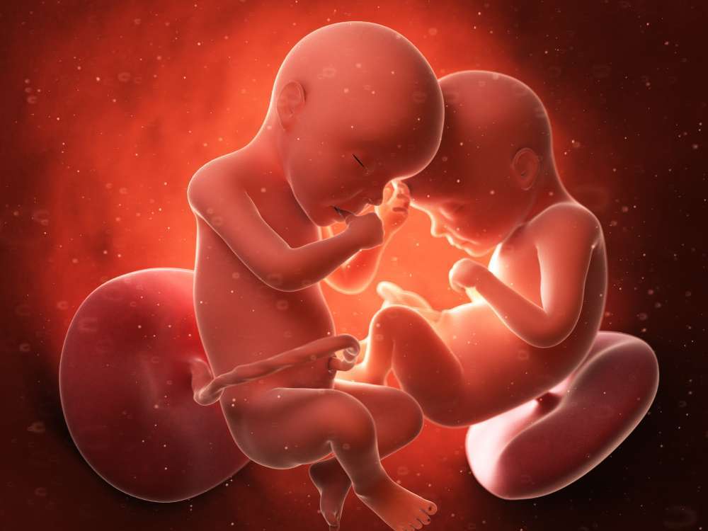 Gemelli in utero