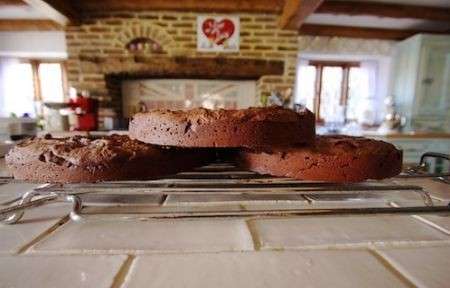 Torta con smarties base