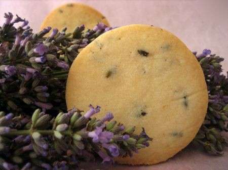 Biscotti alla lavanda ricetta