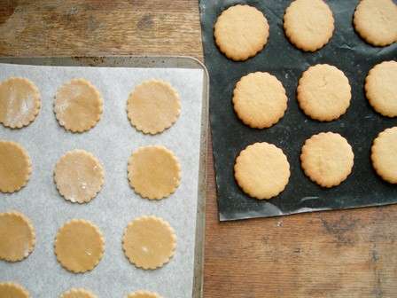 Biscotti con glassa al cioccolato: pronti da decorare