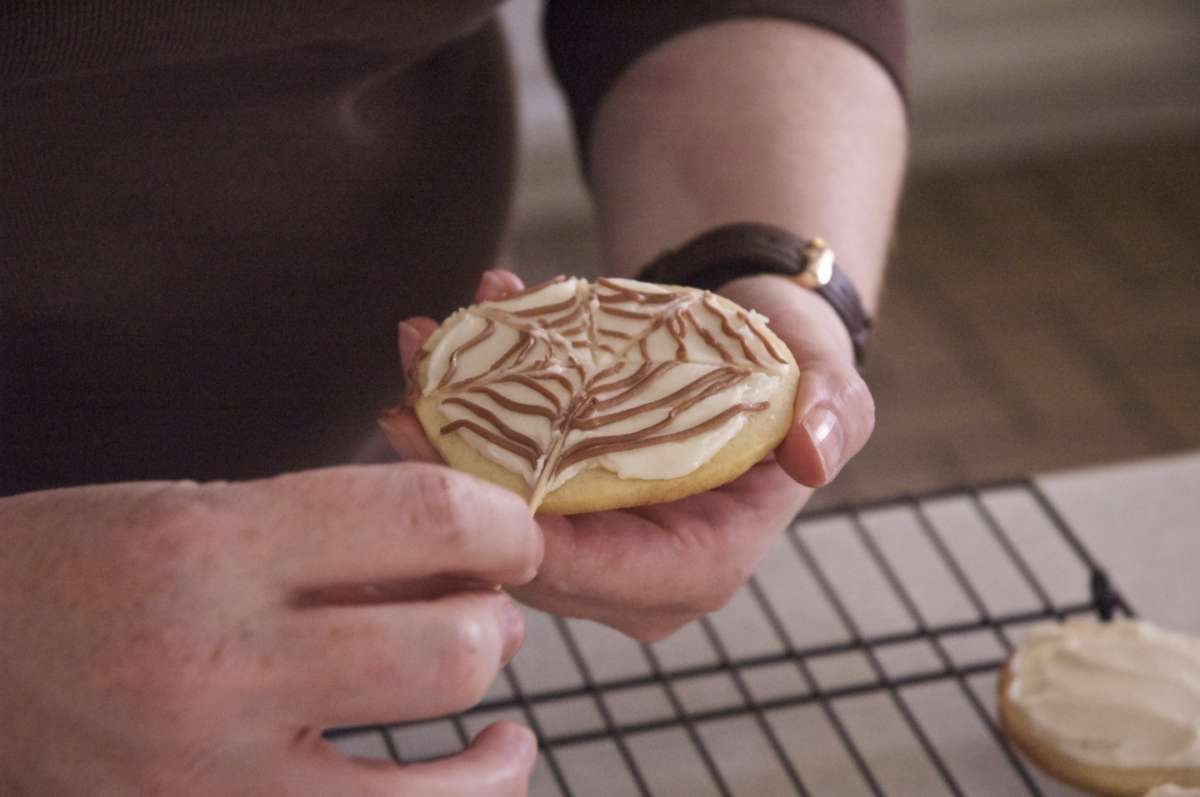 Biscotti con glassa al cioccolato a forma di ragnatela