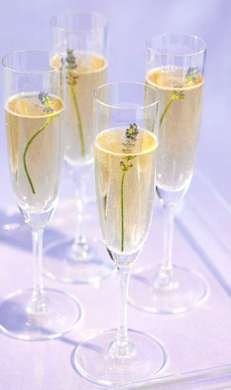 Champagne lavanda