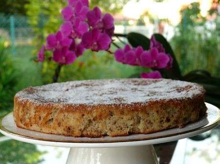 torta alla ricotta