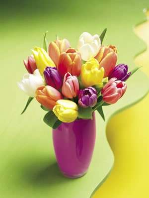 Decorazioni Pasqua fiori vaso