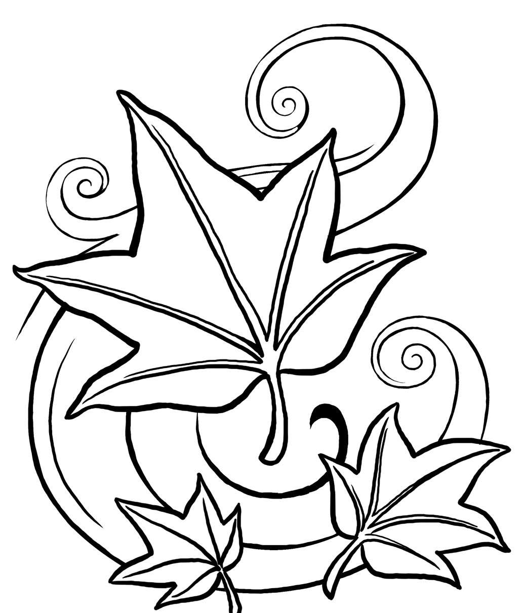 Disegno con foglie
