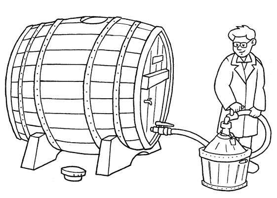 Fare il vino