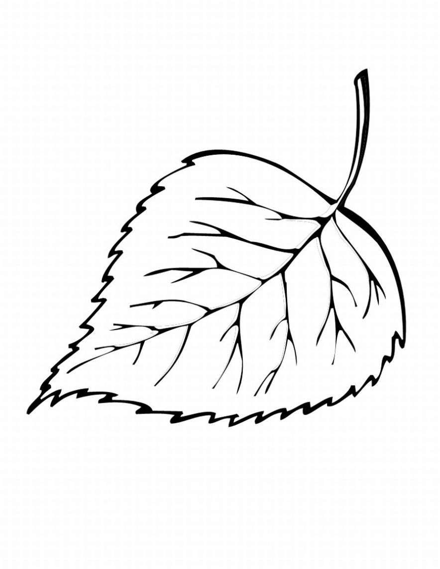 Foglia caduta