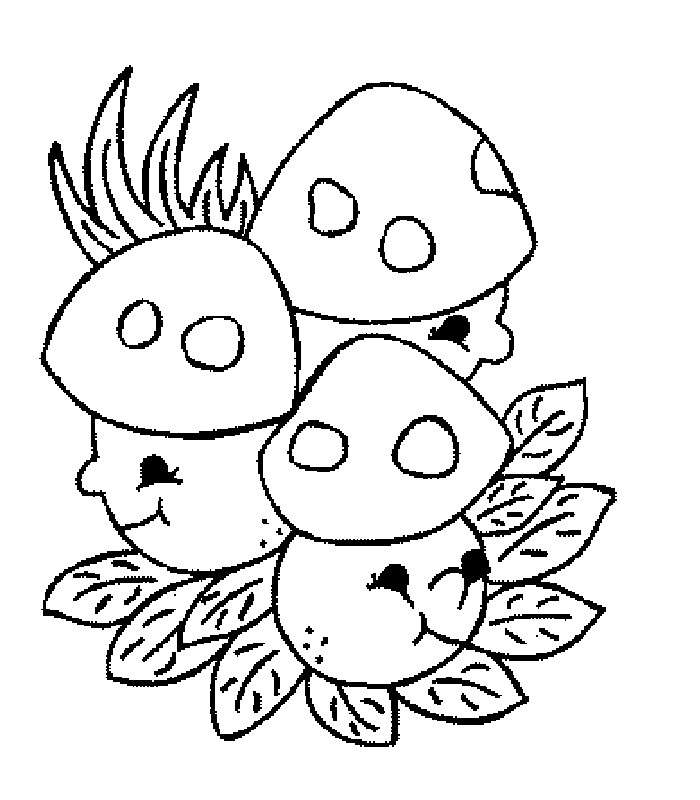 Funghi da colorare