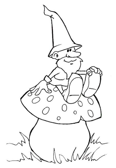 Gnomo