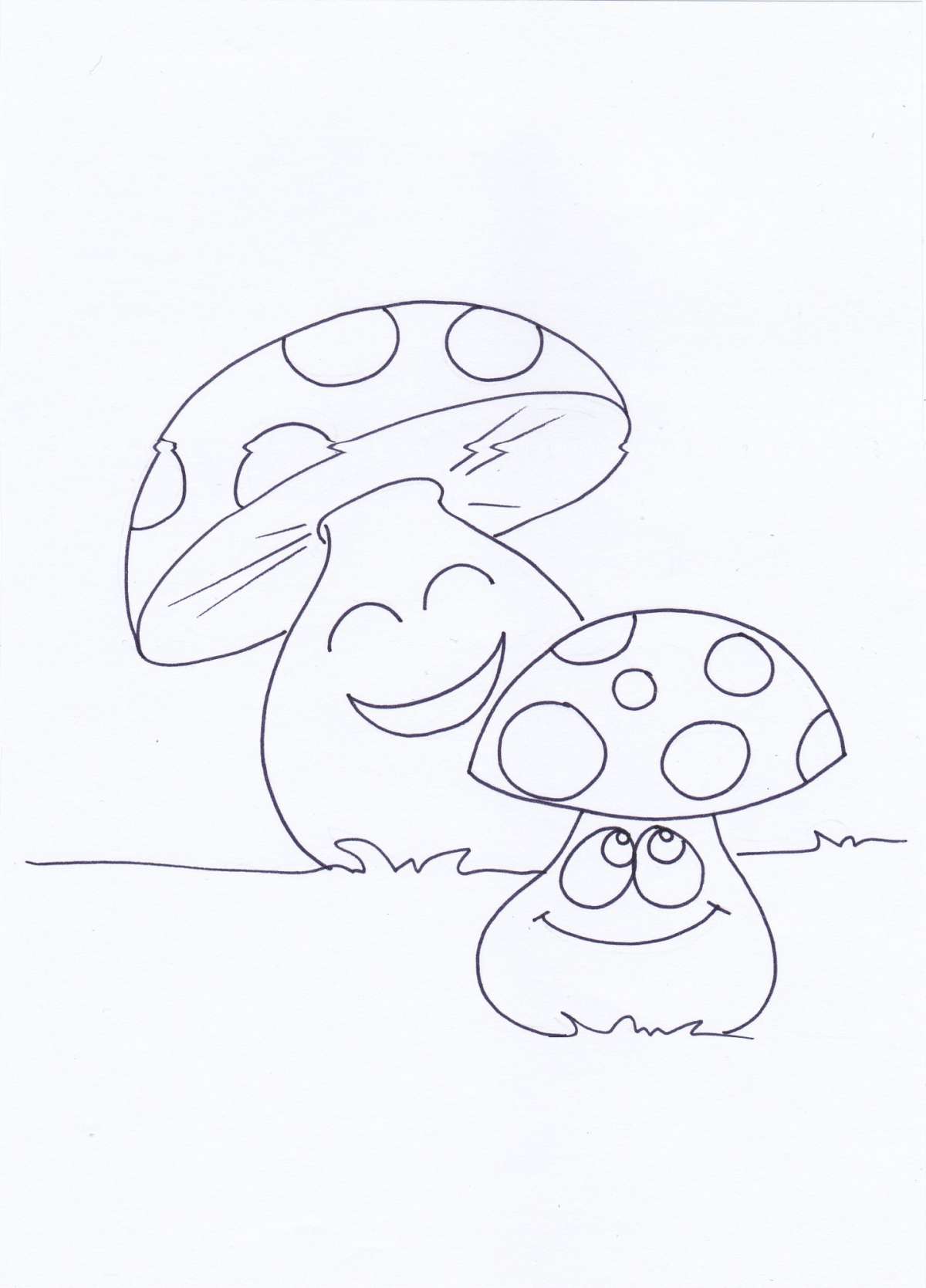 I funghi