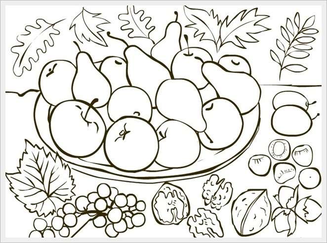 L'autunno e i suoi frutti