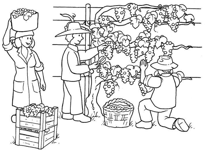 La vendemmia