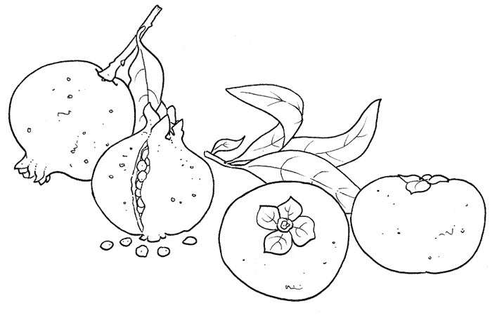 Melograni