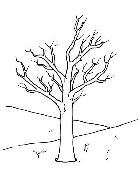 Quasi inverno