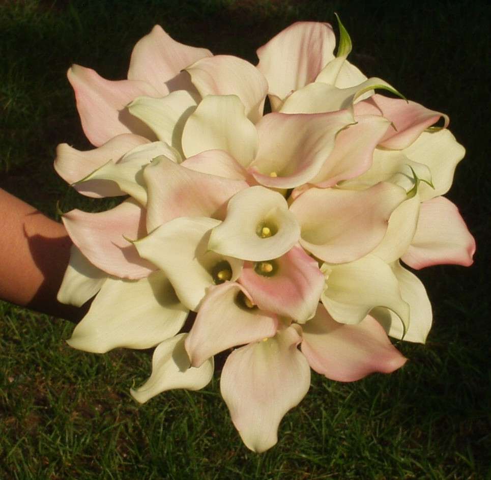 Bouquet sposa calle bianche e rosa
