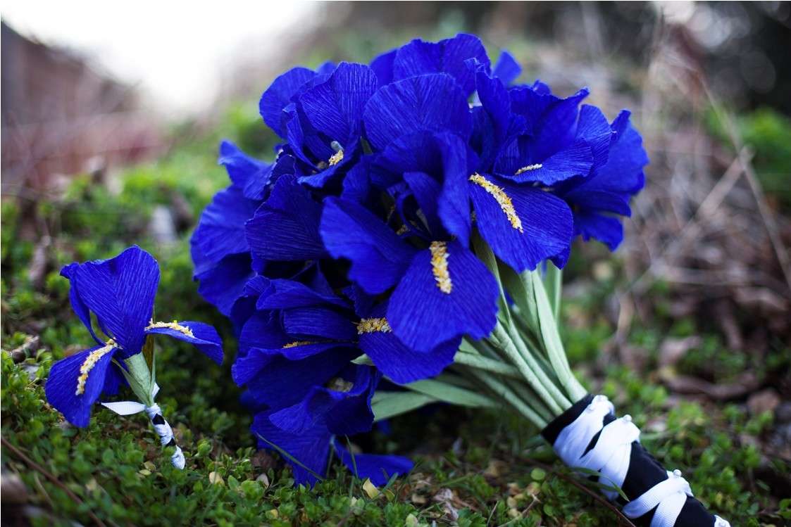 Bouquet sposa iris blu