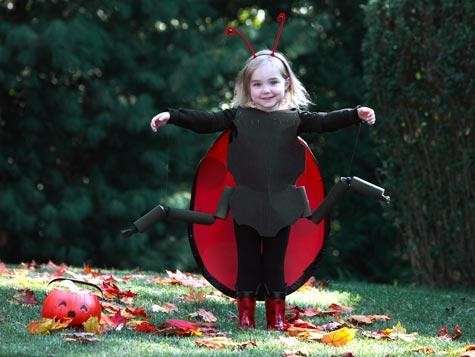 Costumi Halloween fai da te coccinella