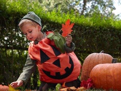 Costumi Halloween fai da te zucca