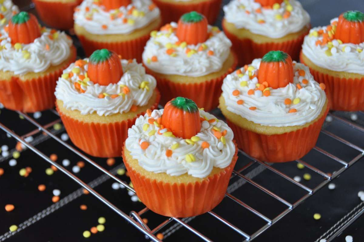 Cupcakes zucca