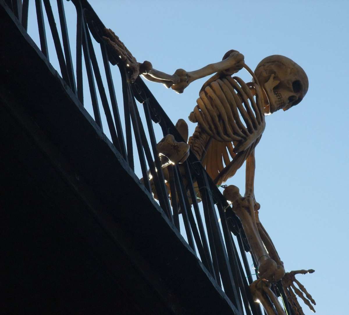Decorazioni per Halloween, scheletro