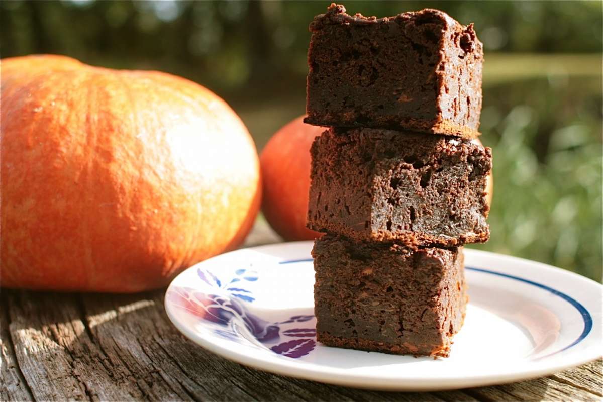 Torta di zucca e cioccolato