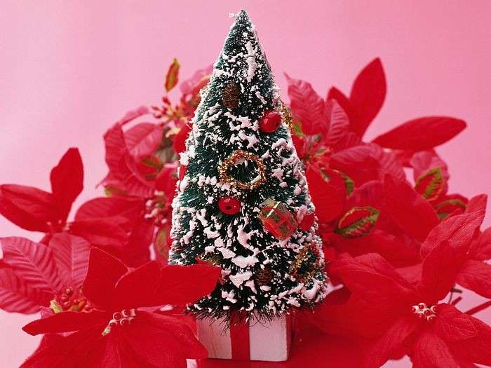 Albero di Natale innevato