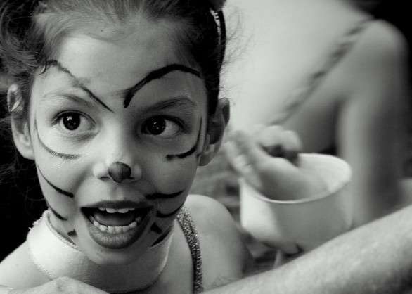 Gatto