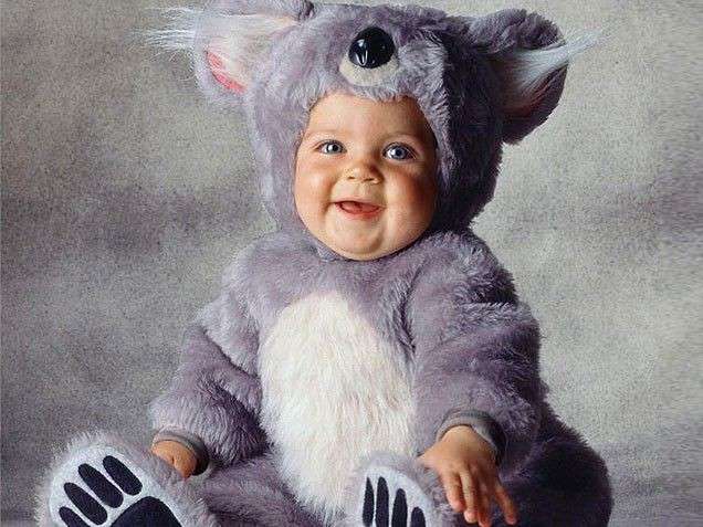 Koala