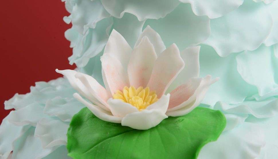 Particolare della torta acqua chiara