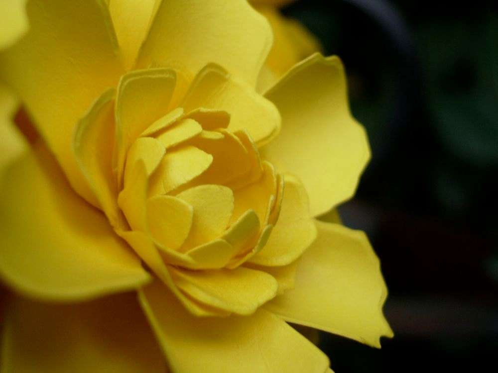 Fiore di carta giallo