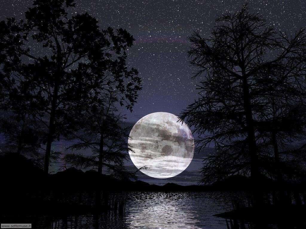 Buonanotte con luna piena