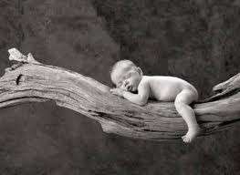 Buonanotte con neonato addormentato su un ramo