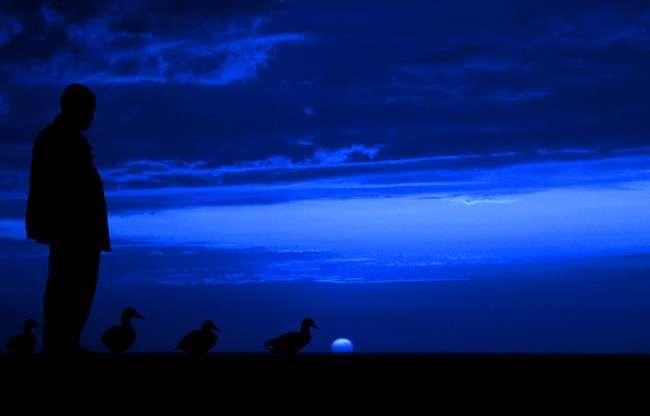 Buonanotte con panorama notturno