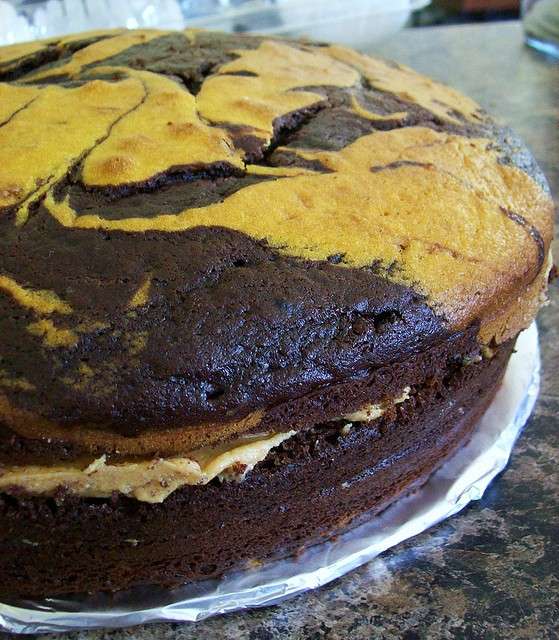 Torta marmorizzata al cioccolato