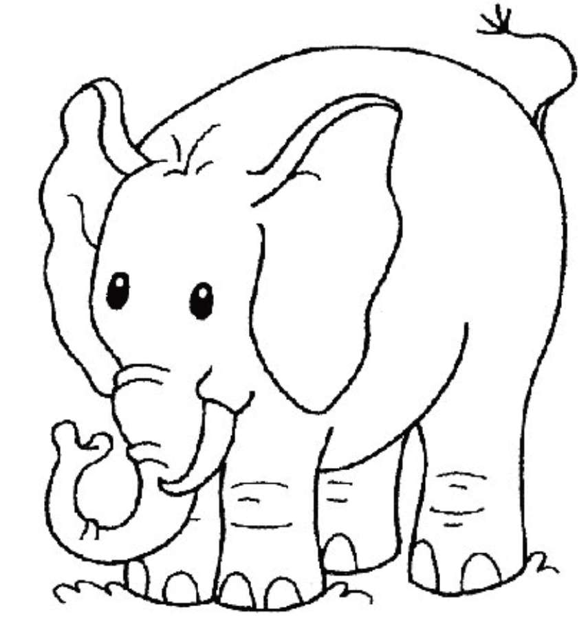 Disegno con un elefante