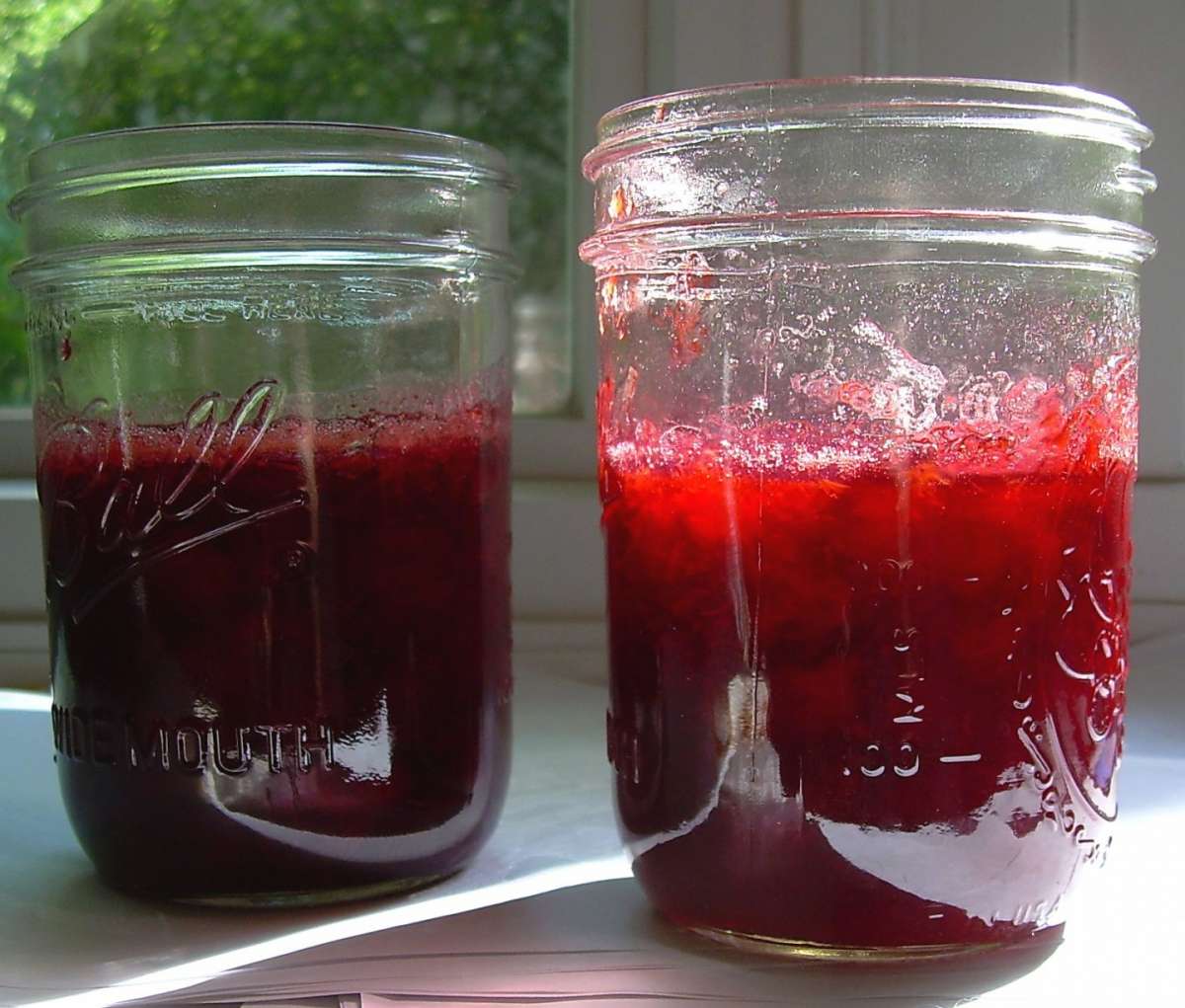 Marmellata di ciliegie in vaso