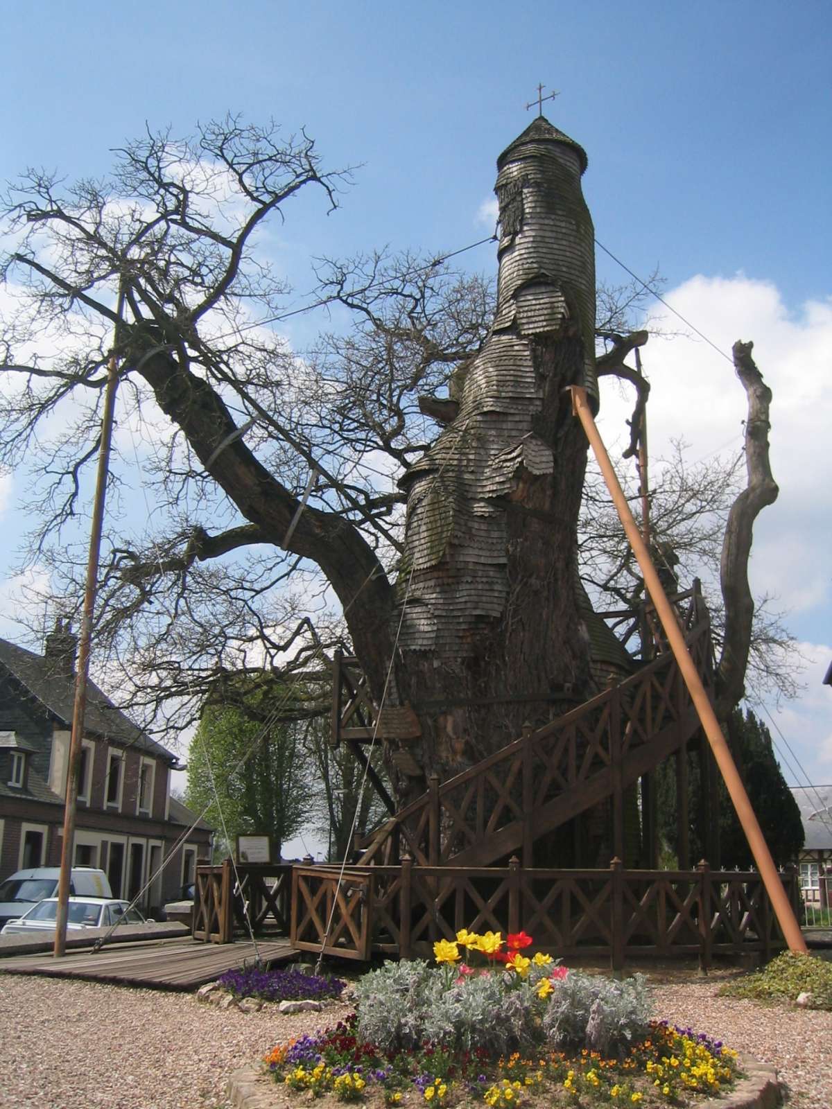 Torre sull'albero