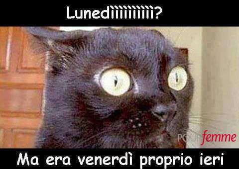 Lunedì