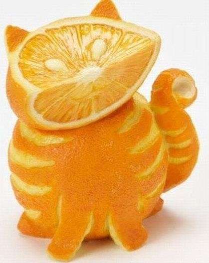 Gatto all'arancia