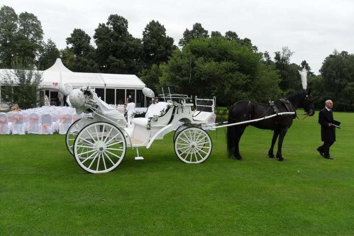 Carrozza per matrimonio gipsy