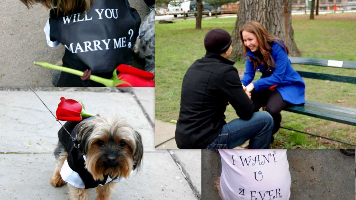 Proposta di matrimonio con cane
