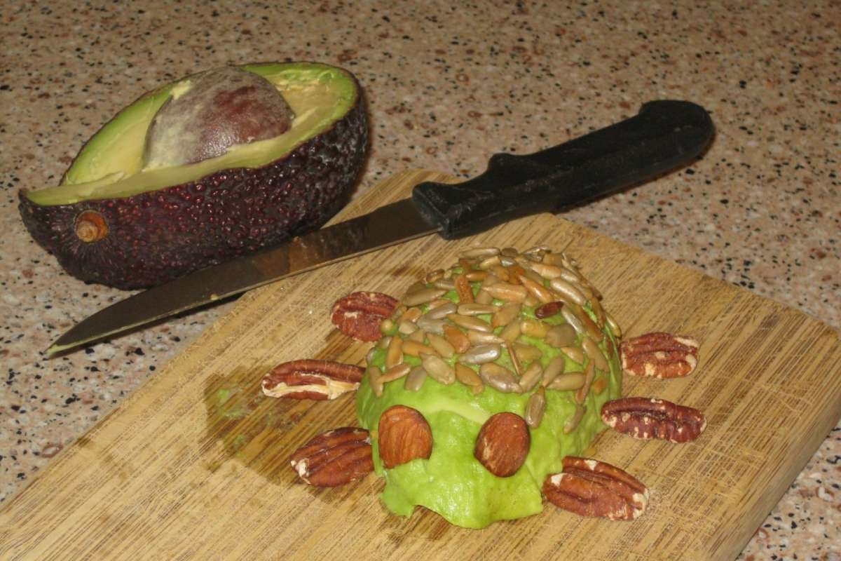 Tartaruga di avocado