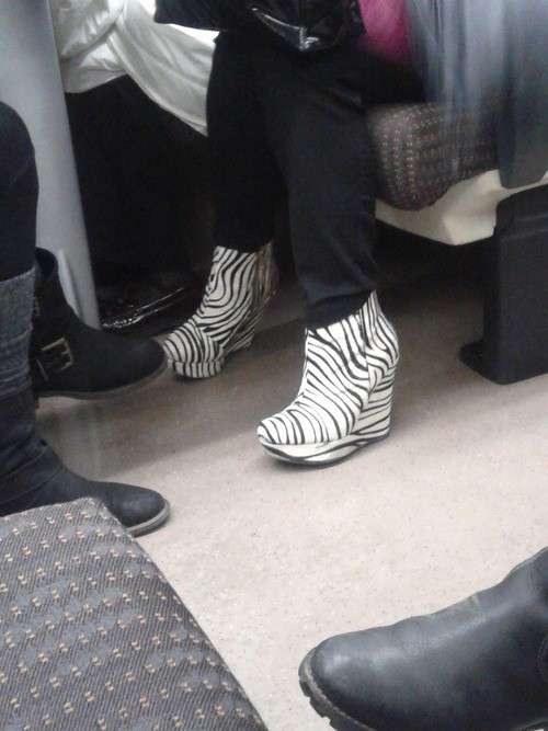Ankle boots zebrati