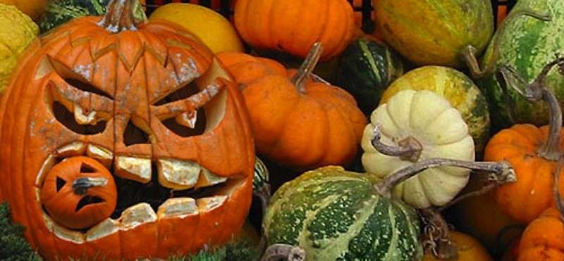 Zucca spaventosa